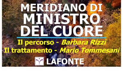 9. copertina Meridiano di Ministro del Cuore